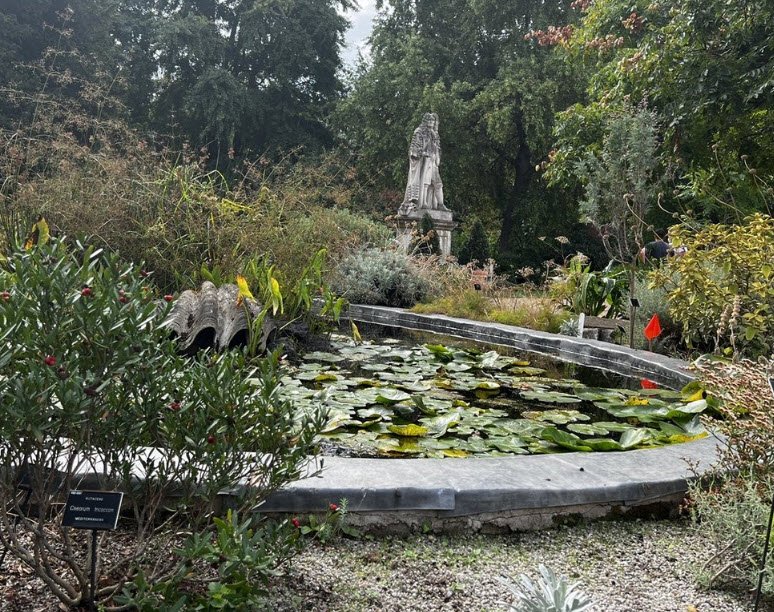 Hitchin Physic Garden, United Kingdom